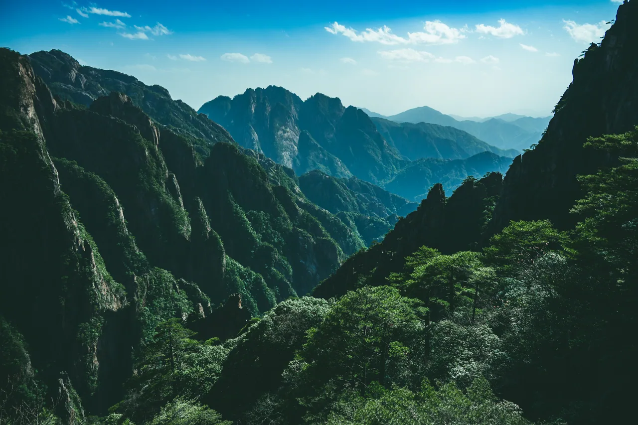Forested mountains and a deep green valley