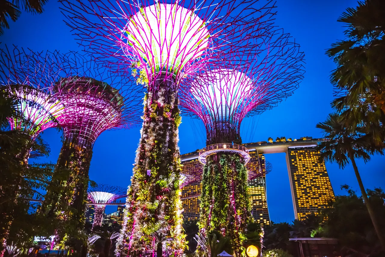 Supertree Grove at Gardens by the Bay lit up at night