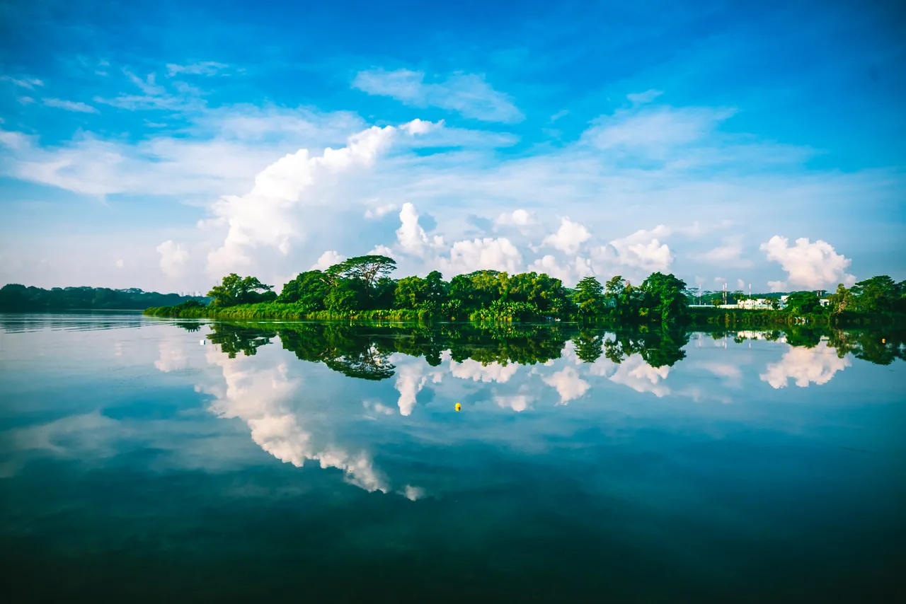 Clouds and trees reflected in a still lake
