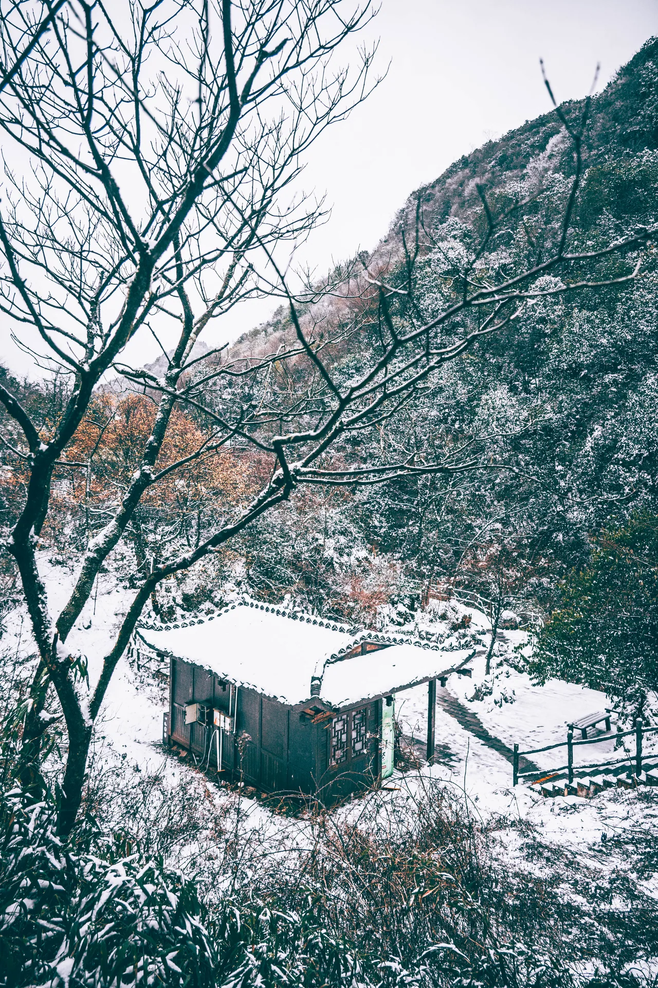 Small cabin in a snow-covered forest