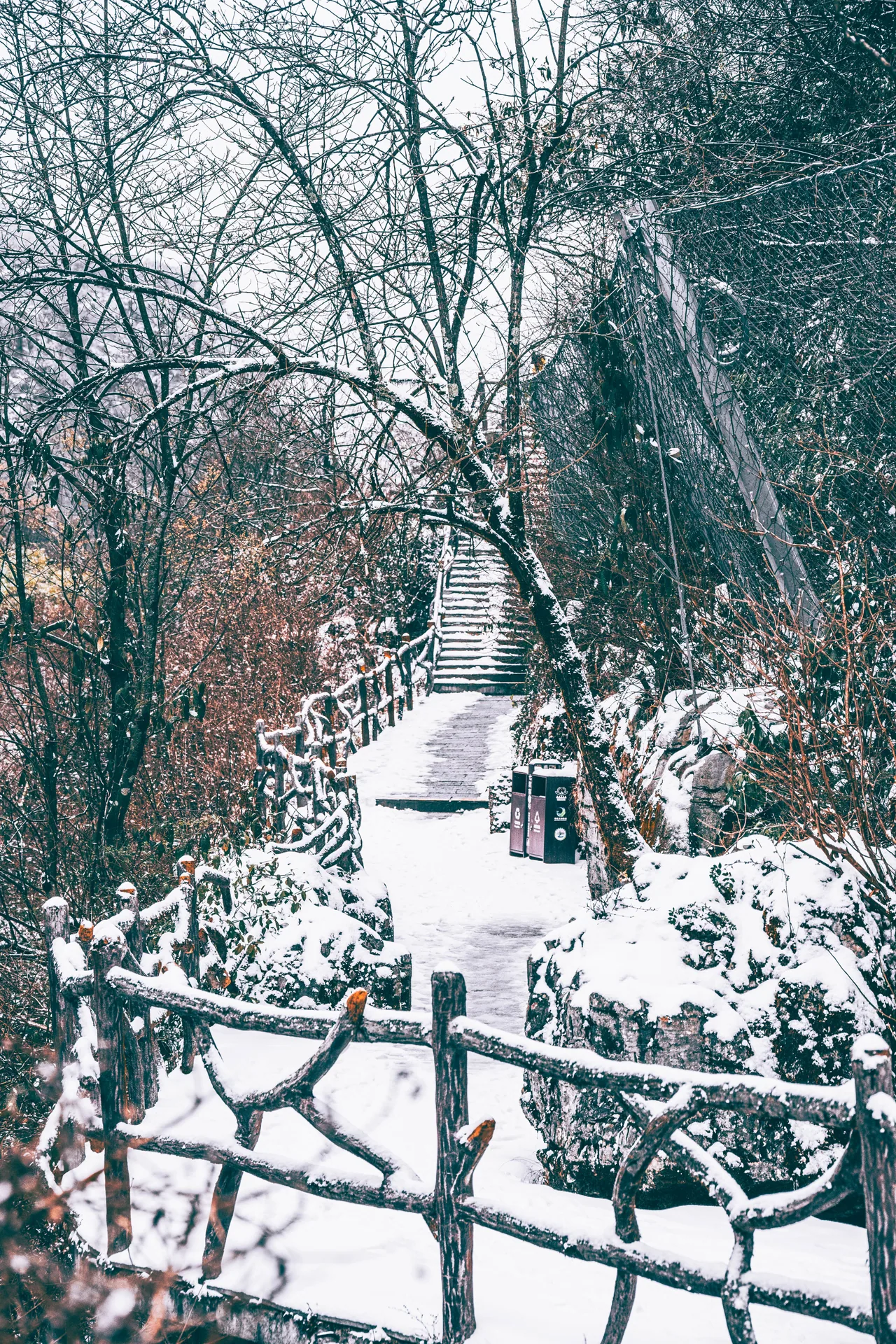 Wooden path through a snowy forest