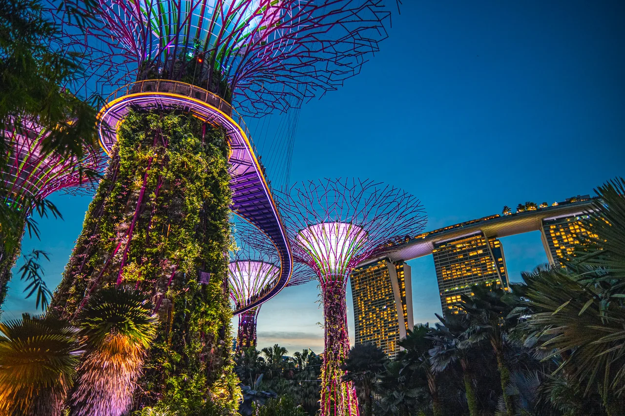 Supertrees and Marina Bay Sands at night, Gardens by the Bay