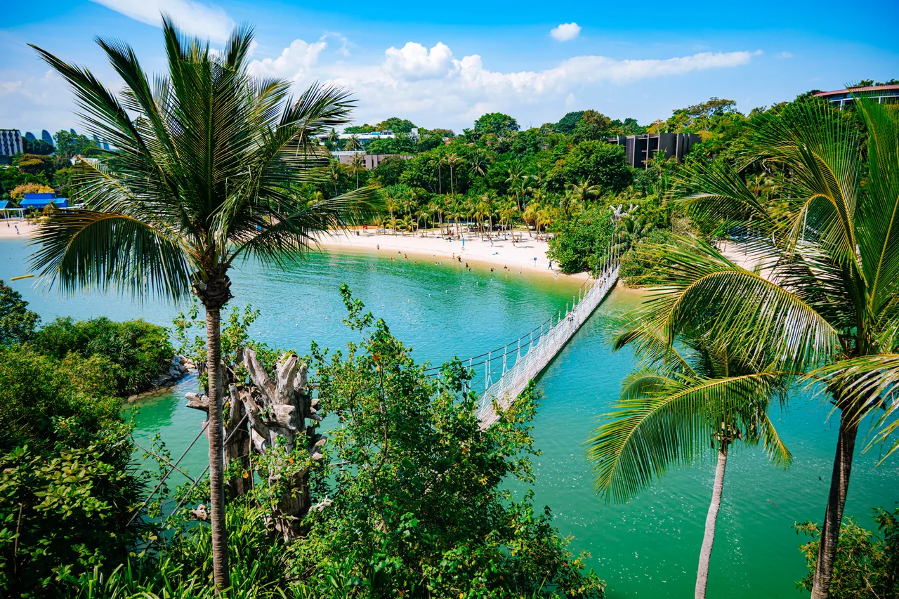 Palm trees above a sheltered beach and lagoon