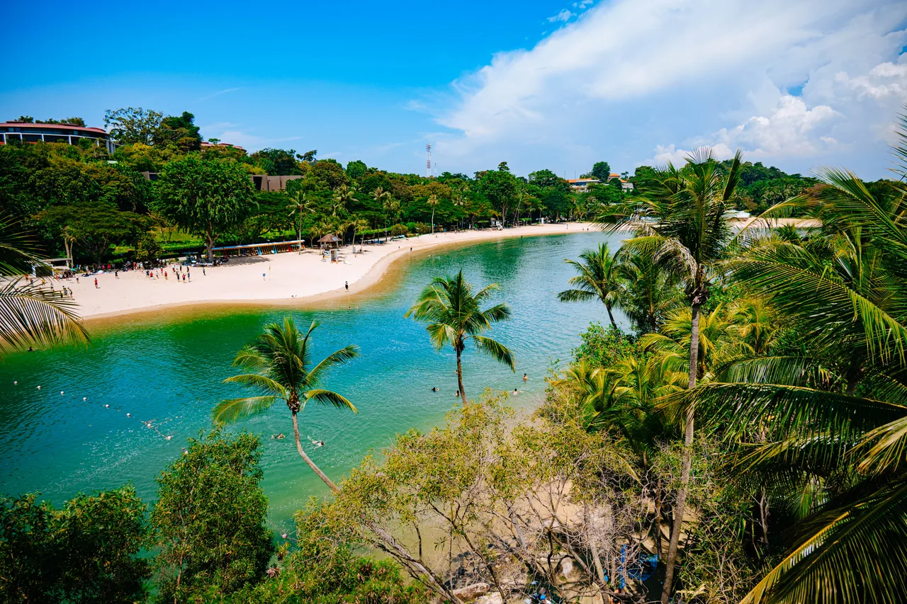 Tropical lagoon and beach framed by palm trees